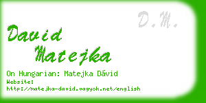 david matejka business card